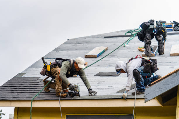 Professional Gutter Installation technician working in Whitleyville, TN